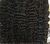 Burmese itips