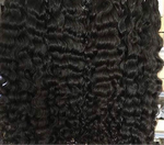 Burmese itips